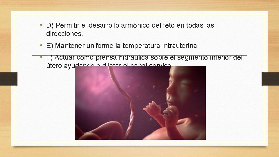  • D) Permitir el desarrollo armónico del feto en todas las direcciones. •