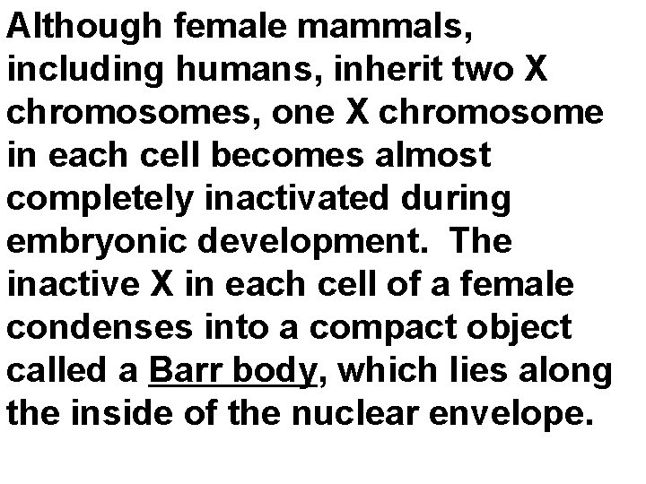 Although female mammals, including humans, inherit two X chromosomes, one X chromosome in each