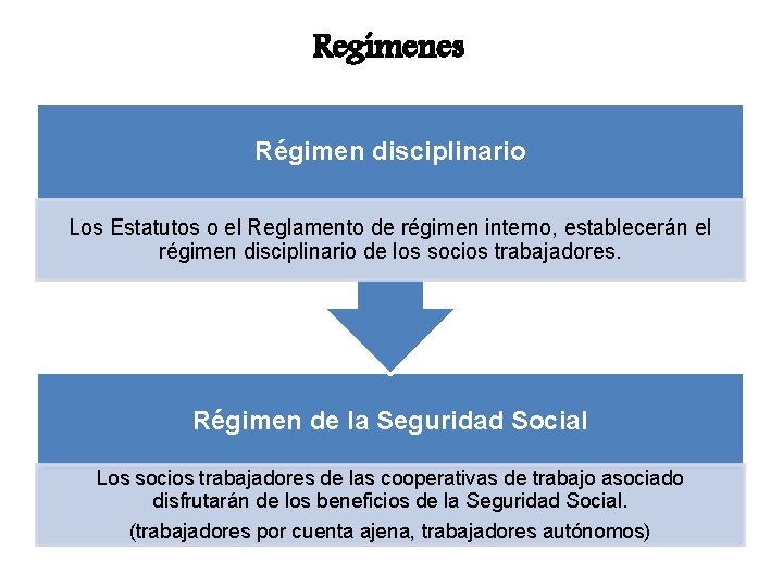 Regímenes Régimen disciplinario Los Estatutos o el Reglamento de régimen interno, establecerán el régimen