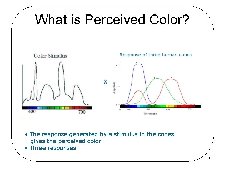 What is Perceived Color? • The response generated by a stimulus in the cones
