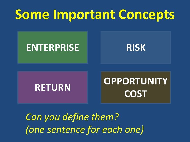 Some Important Concepts ENTERPRISE RISK RETURN OPPORTUNITY COST Can you define them? (one sentence