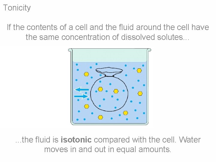 Tonicity If the contents of a cell and the fluid around the cell have