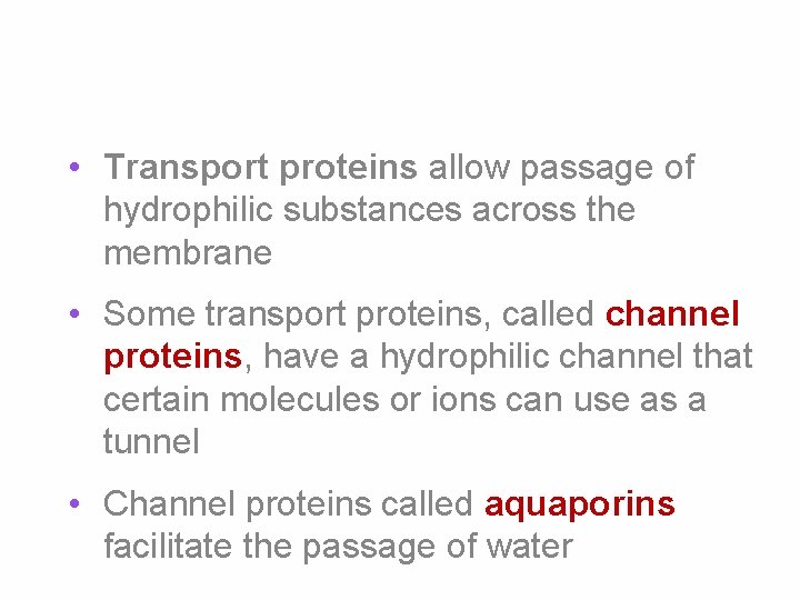  • Transport proteins allow passage of hydrophilic substances across the membrane • Some
