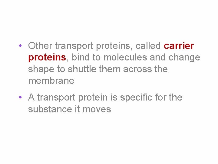  • Other transport proteins, called carrier proteins, bind to molecules and change shape