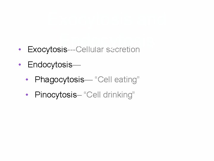  • Exocytosis and Endocytosis Exocytosis---Cellular secretion • Endocytosis— • Phagocytosis— “Cell eating” •
