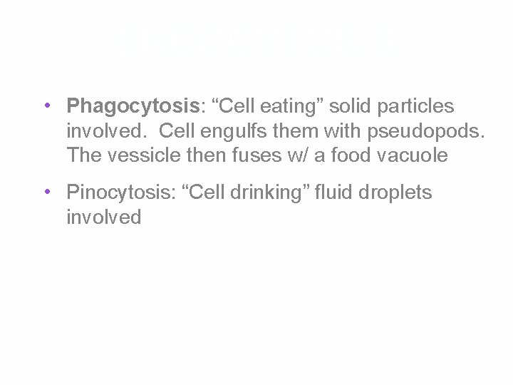 ENDOCYTOSIS • Phagocytosis: “Cell eating” solid particles involved. Cell engulfs them with pseudopods. The