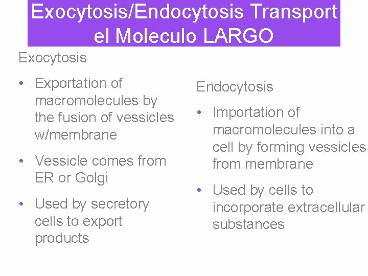 Exocytosis/Endocytosis Transport el Moleculo LARGO Exocytosis • Exportation of macromolecules by the fusion of