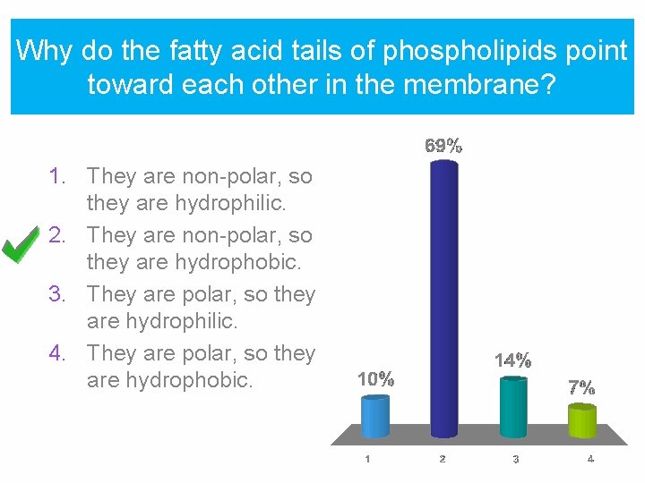 Why do the fatty acid tails of phospholipids point toward each other in the