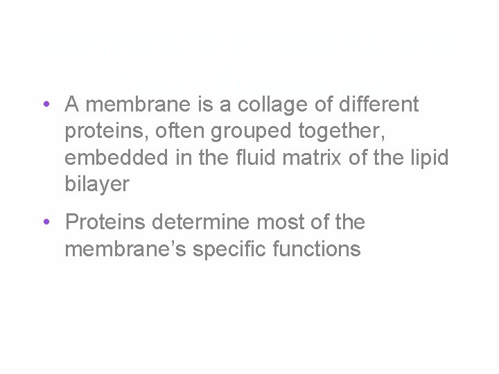 Membrane Proteins and Their Functions • A membrane is a collage of different proteins,