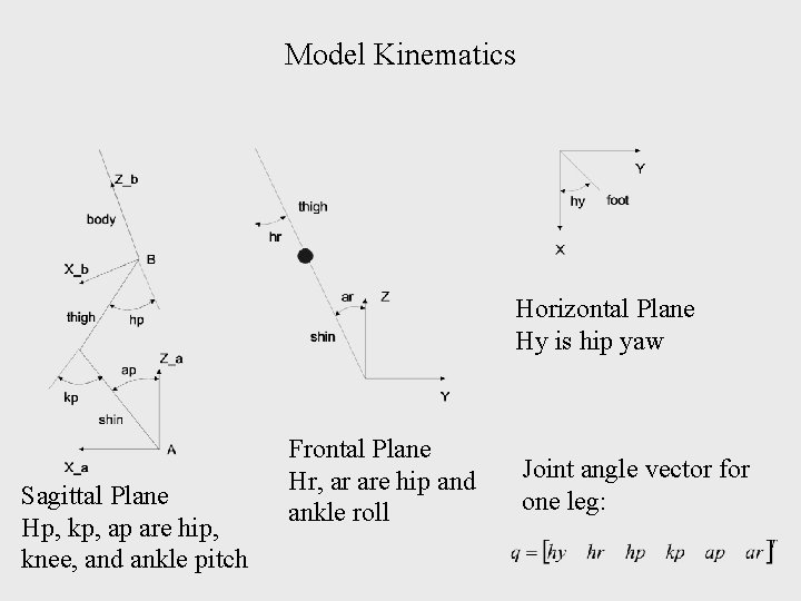 Model Kinematics Horizontal Plane Hy is hip yaw Sagittal Plane Hp, kp, ap are
