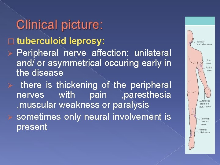 Clinical picture: � tuberculoid leprosy: Ø Peripheral nerve affection: unilateral and/ or asymmetrical occuring