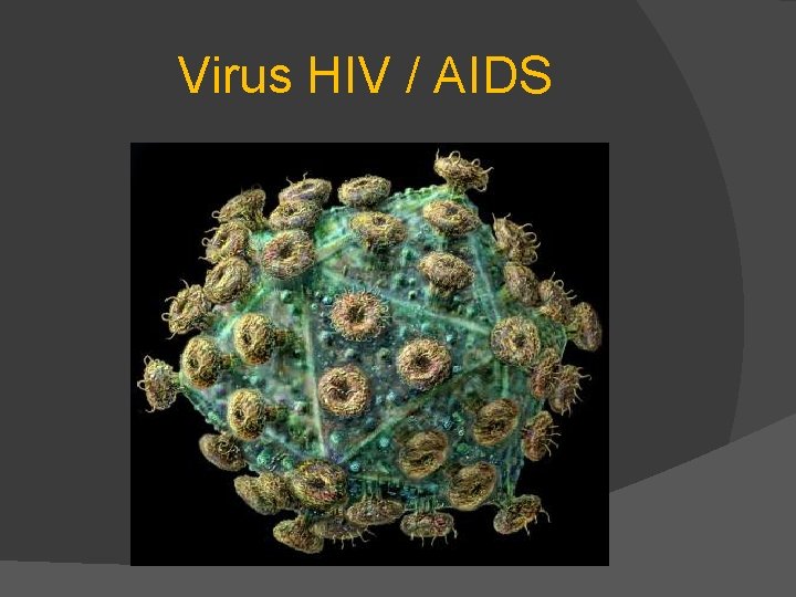 Virus HIV / AIDS 