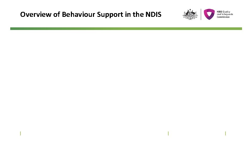 Overview of Behaviour Support in the NDIS 