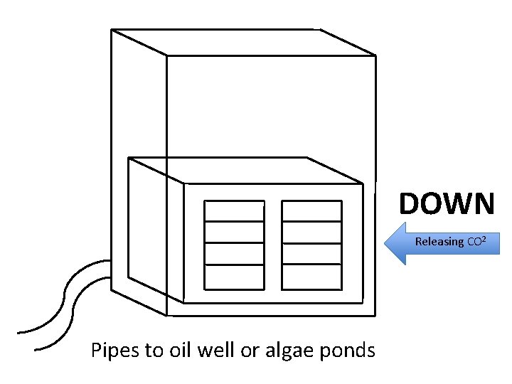 DOWN Releasing CO 2 Pipes to oil well or algae ponds 