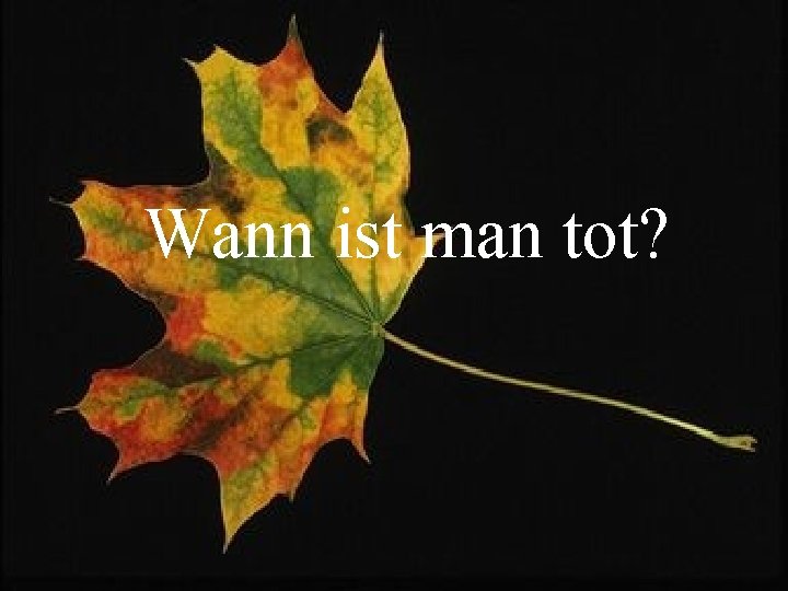 Wann ist man tot? 