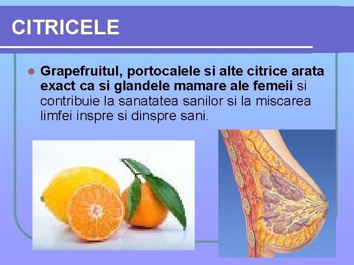 CITRICELE l Grapefruitul, portocalele si alte citrice arata exact ca si glandele mamare ale