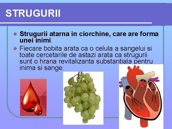 STRUGURII Strugurii atarna in ciorchine, care forma unei inimi. l Fiecare bobita arata ca