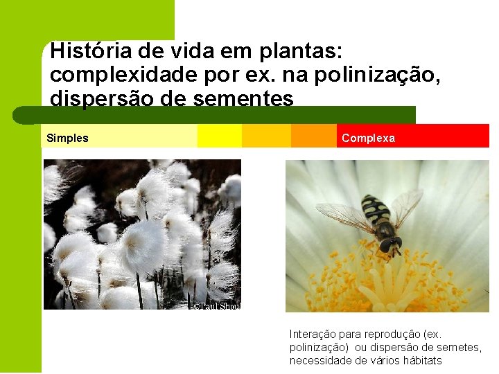 História de vida em plantas: complexidade por ex. na polinização, dispersão de sementes Simples