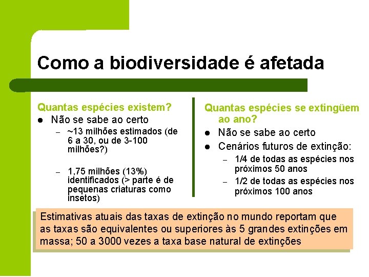 Como a biodiversidade é afetada Quantas espécies existem? l Não se sabe ao certo