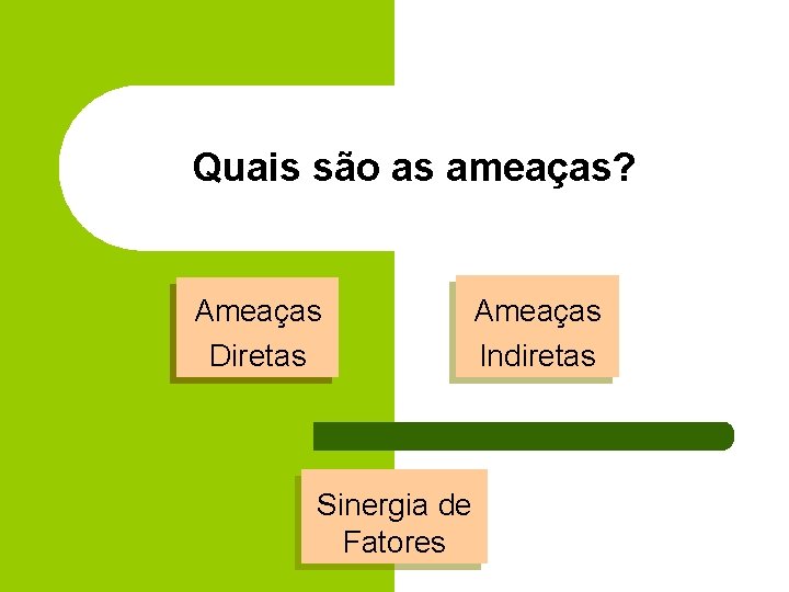 Quais são as ameaças? Ameaças Diretas Sinergia de Fatores Ameaças Indiretas 