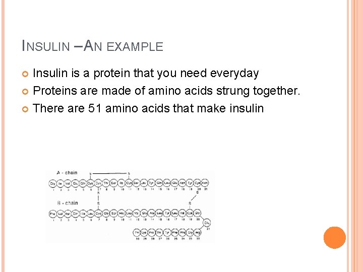 INSULIN – AN EXAMPLE Insulin is a protein that you need everyday Proteins are