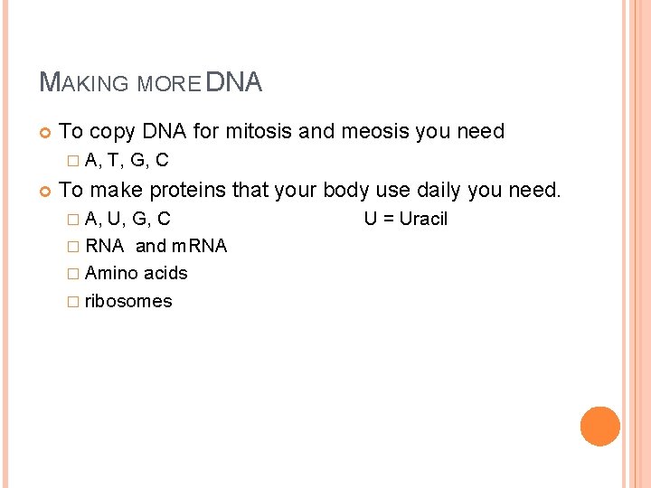 MAKING MORE DNA To copy DNA for mitosis and meosis you need � A,