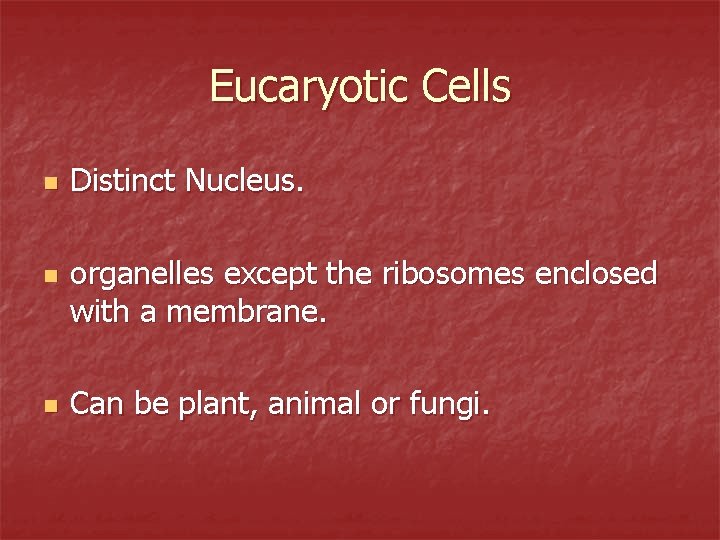 Eucaryotic Cells n n n Distinct Nucleus. organelles except the ribosomes enclosed with a
