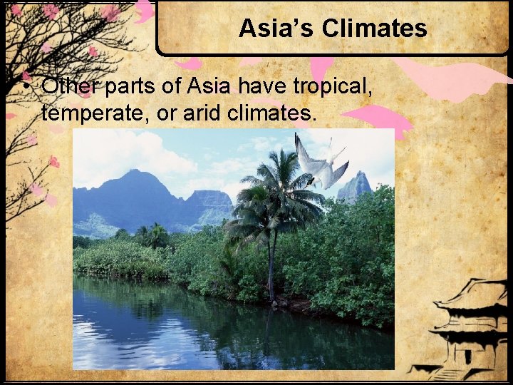Asia’s Climates • Other parts of Asia have tropical, temperate, or arid climates. 