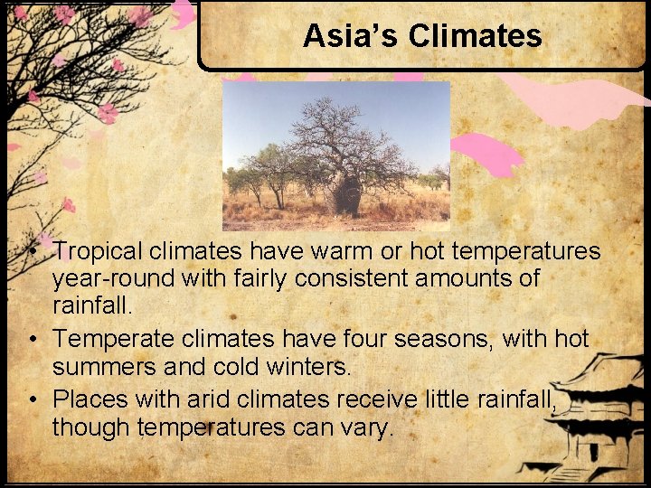 Asia’s Climates • Tropical climates have warm or hot temperatures year-round with fairly consistent