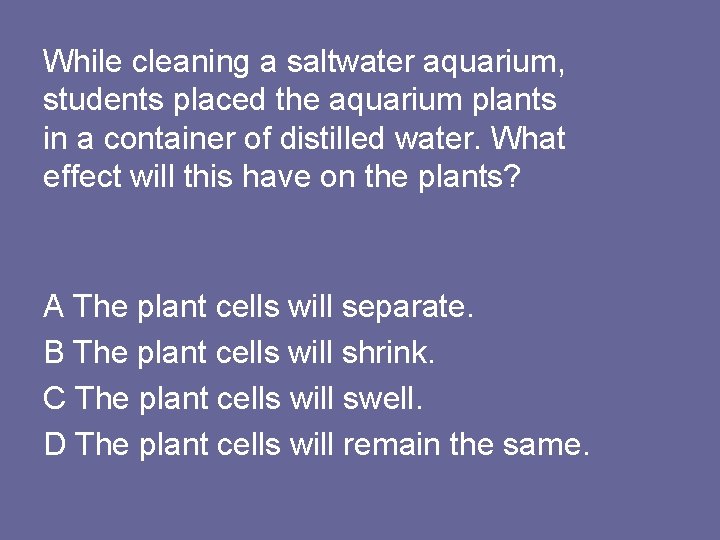 While cleaning a saltwater aquarium, students placed the aquarium plants in a container of