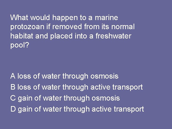 What would happen to a marine protozoan if removed from its normal habitat and