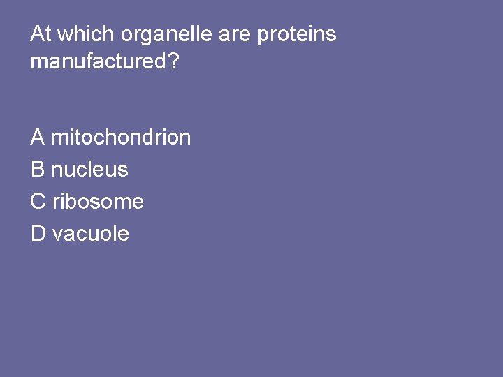 At which organelle are proteins manufactured? A mitochondrion B nucleus C ribosome D vacuole