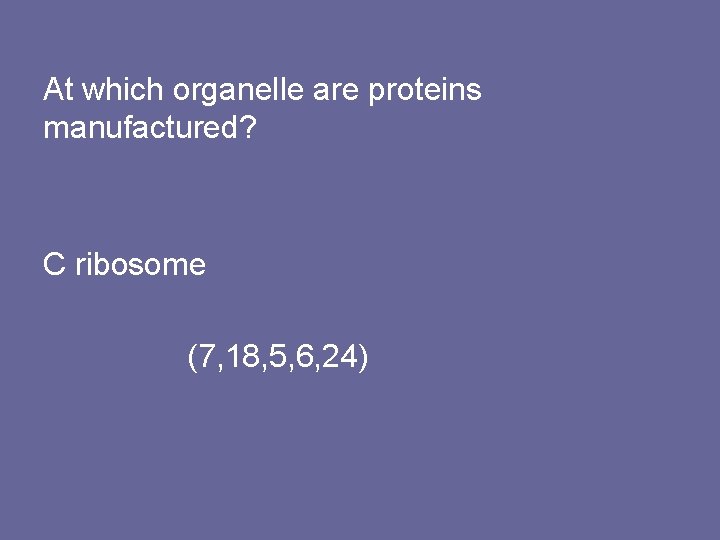 At which organelle are proteins manufactured? C ribosome (7, 18, 5, 6, 24) 