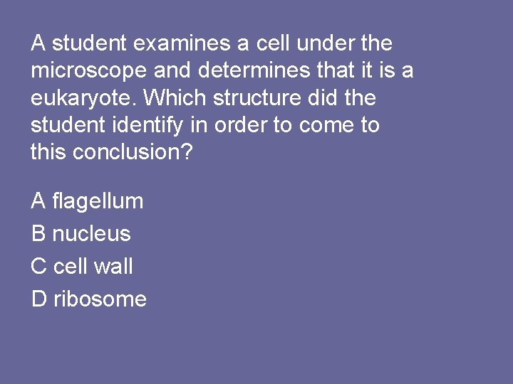A student examines a cell under the microscope and determines that it is a