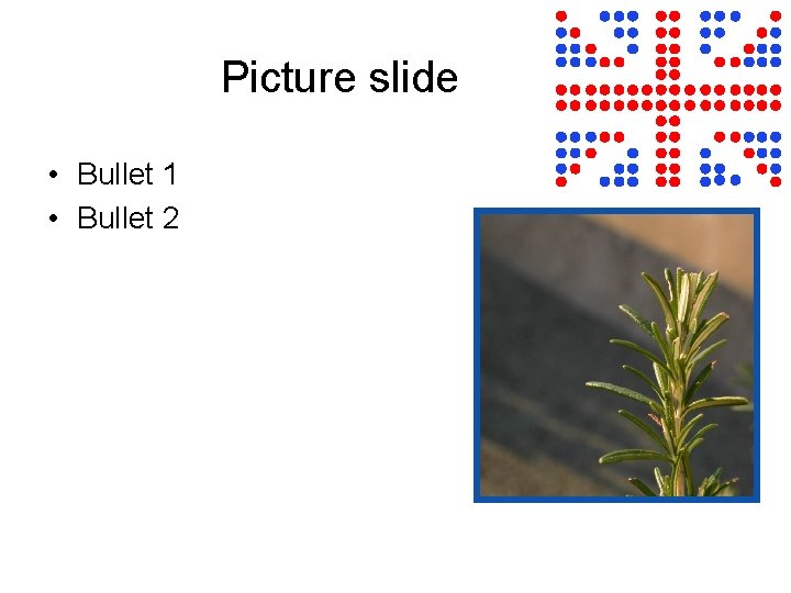 Picture slide • Bullet 1 • Bullet 2 