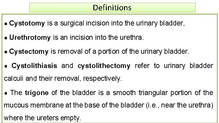 Definitions ● Cystotomy is a surgical incision into the urinary bladder, ● Urethrotomy is