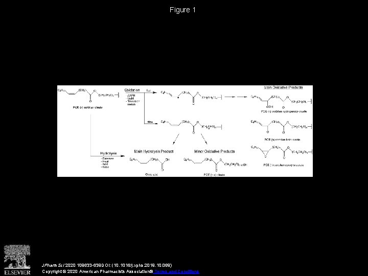 Figure 1 JPharm. Sci 2020 109633 -639 DOI: (10. 1016/j. xphs. 2019. 10. 069)