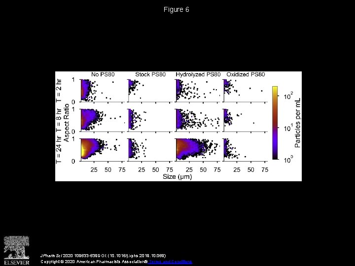 Figure 6 JPharm. Sci 2020 109633 -639 DOI: (10. 1016/j. xphs. 2019. 10. 069)