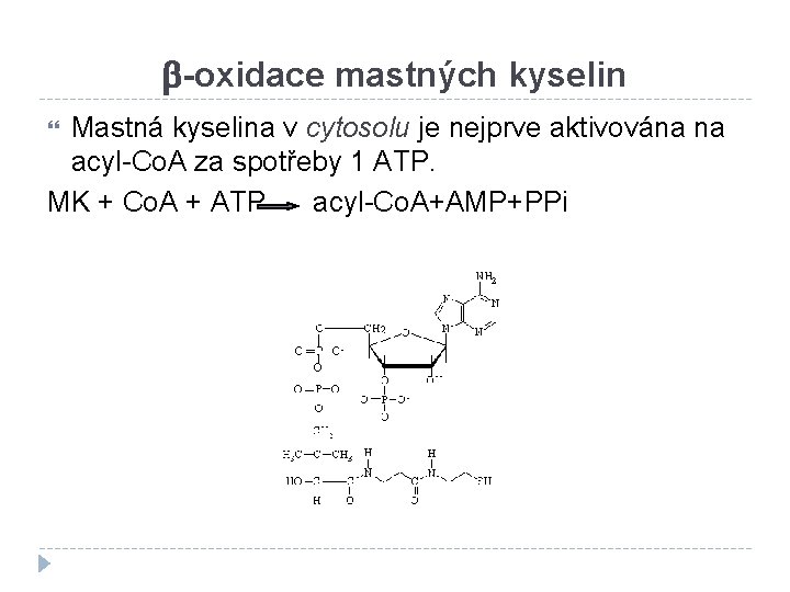 b-oxidace mastných kyselin Mastná kyselina v cytosolu je nejprve aktivována na acyl-Co. A za