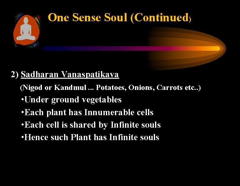 One Sense Soul (Continued) 2) Sadharan Vanaspatikaya (Nigod or Kandmul. . . Potatoes, Onions,