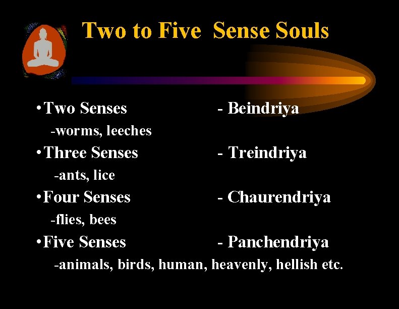 Two to Five Sense Souls • Two Senses - Beindriya -worms, leeches • Three