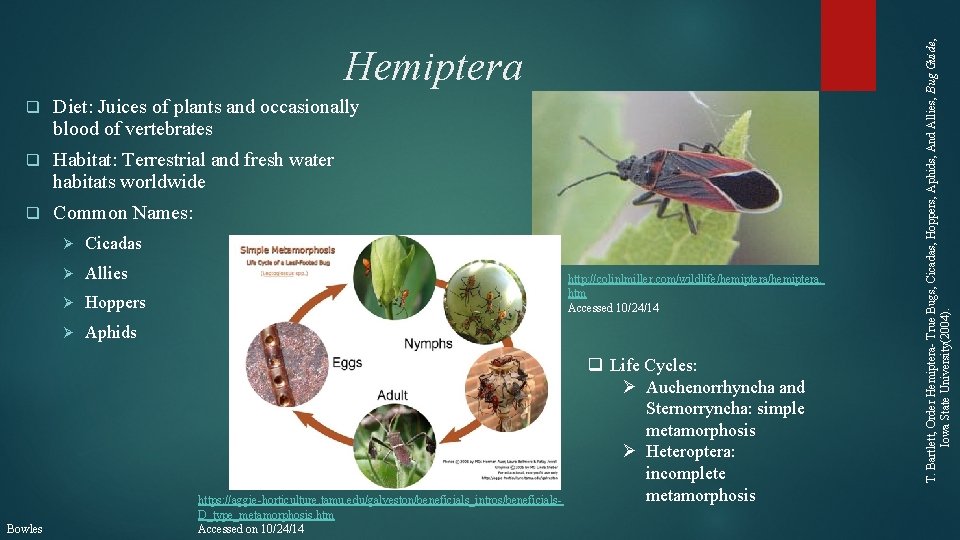 q Diet: Juices of plants and occasionally blood of vertebrates q Habitat: Terrestrial and