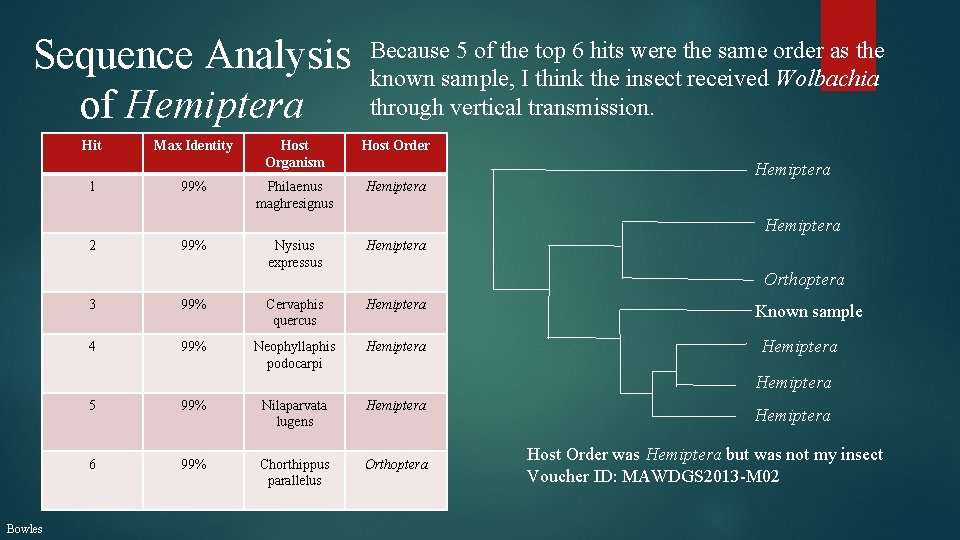 Sequence Analysis of Hemiptera Hit 1 Max Identity 99% Because 5 of the top
