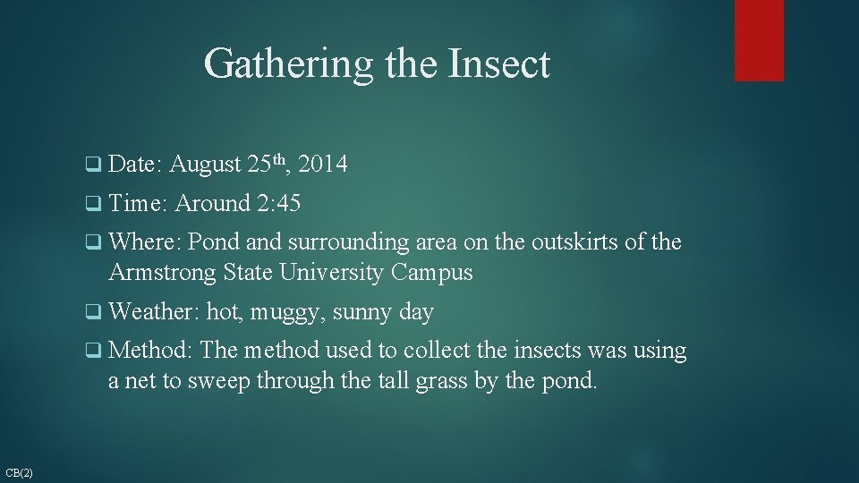 Gathering the Insect q Date: August 25 th, 2014 q Time: Around 2: 45