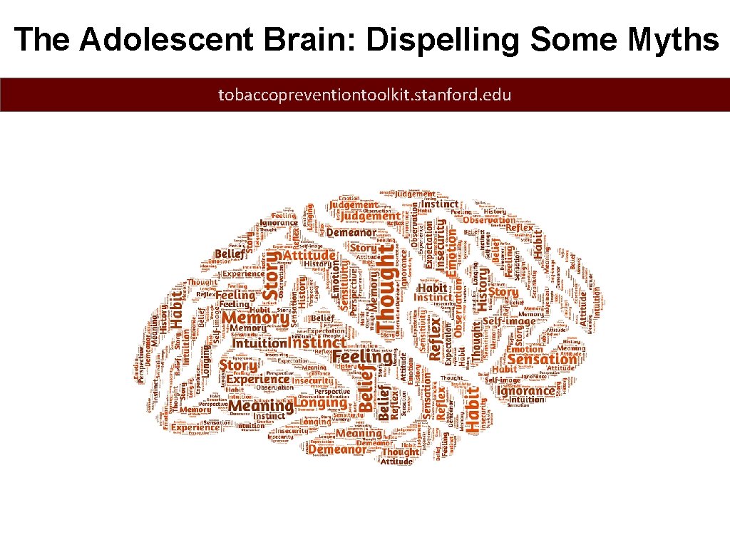 The Adolescent Brain: Dispelling Some Myths tobaccopreventiontoolkit. stanford. edu 