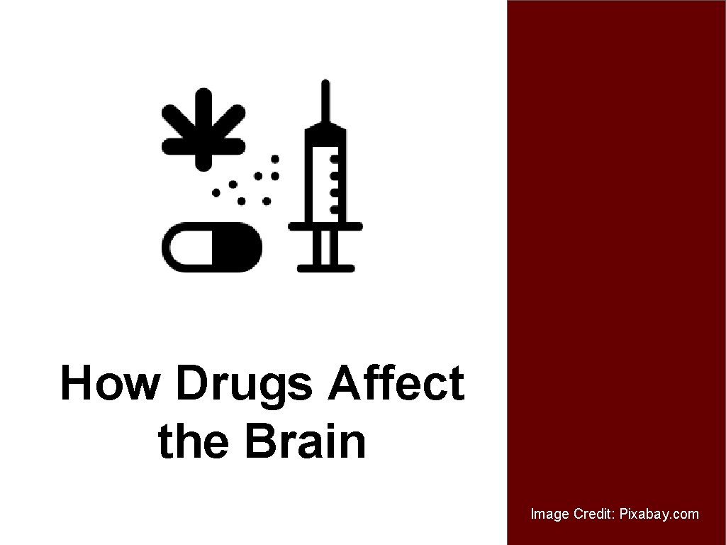 How Drugs Affect the Brain Image Credit: Pixabay. com 