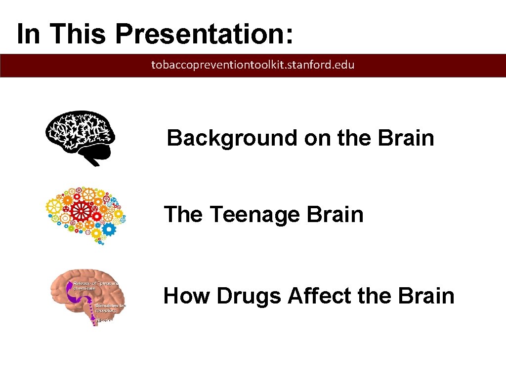 In This Presentation: tobaccopreventiontoolkit. stanford. edu Background on the Brain The Teenage Brain How