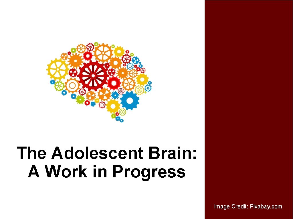 The Adolescent Brain: A Work in Progress Image Credit: Pixabay. com 