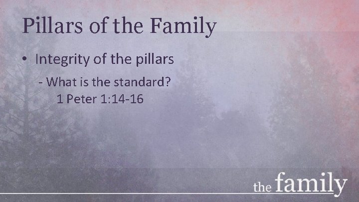 Pillars of the Family • Integrity of the pillars - What is the standard?
