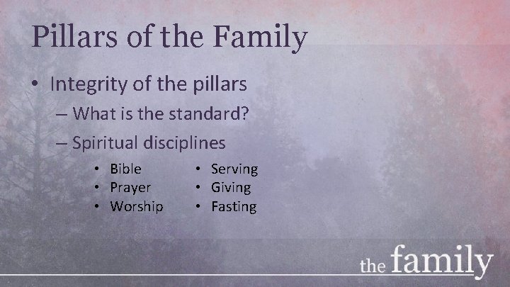 Pillars of the Family • Integrity of the pillars – What is the standard?